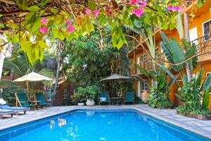 uma piscina em frente a um edifício com flores em The Bungalows Hotel em Cabo San Lucas