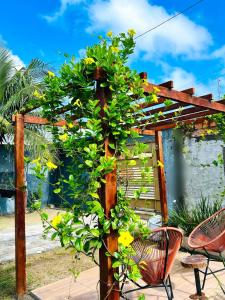 Κήπος έξω από το Hospedaria Caripí +7 φωτογραφίες