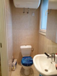 a bathroom with a toilet with a blue seat and a sink at Kuressaare Centrum in Kuressaare