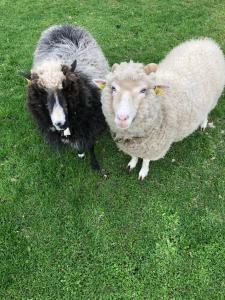 Gallery image of Vedru Puhketalu in Väike-Rakke