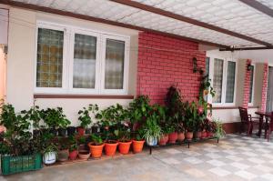Park corner Home stay外面的花园