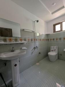 a bathroom with a sink and a toilet at Flora Inn Skardu in Skardu