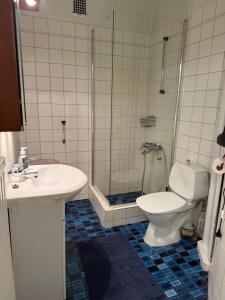 une salle de bain avec toilettes, lavabo et douche dans l'établissement Cozy studio in Punavuori, à Helsinki