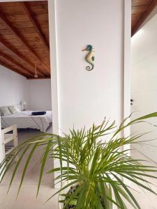 eine Pflanze in einem Zimmer mit einem Seepferdchen an der Wand in der Unterkunft Marina in La Santa