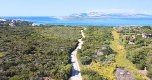 an aerial view of a river in the middle of a forest at Panorama sul mare in Stintino