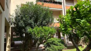 Vonkajšia záhrada v ubytovaní san rocco apartments
