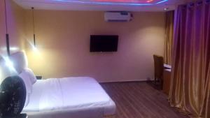 una camera d'albergo con letto e TV a parete di The Royal Hotel a Munro Island