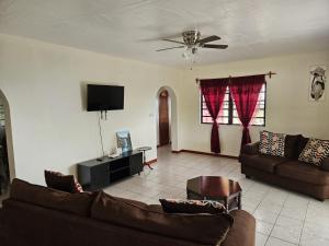 Una sala de estar con dos sofás y un televisor de pantalla plana. en Paradise Villa, en Baker Hill