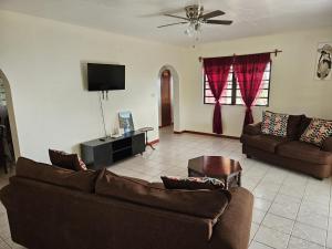 Una sala de estar con dos sofás y un televisor de pantalla plana. en Paradise Villa, en Baker Hill