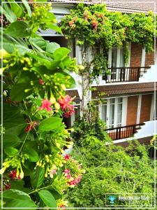 Ein Garten an der Unterkunft Ancient Garden Boutique Hoi An
