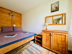 a bedroom with a bed and a mirror on the wall at Carpathian cabin - Icelandic horses - Hestur Ivo in Izvoare