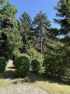 Príroda v okolí apartmánu