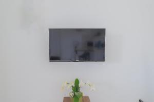 a flat screen tv hanging on a wall with a plant at Casetta - Arrière Gare in Arras