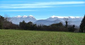 a field with snow capped mountains in the background at Paradis Provencal Le Calme total, Grande Piscine et Jacuzzi Chauffé, Salle de Jeux et Fresque du Nougat, Intimité in Montélimar