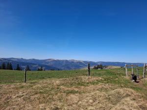 a field with a blue sky and mountains in the background at Charmante maison familiale in Rixheim +4 photos