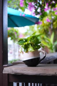 Ein Garten an der Unterkunft Ancient Garden Boutique Hoi An