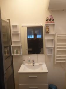 a person taking a picture of a bathroom sink at Nice modern house, bright and quiet assured in Nantes