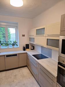 拉斯特Ferienwohnung Anita的一间设有白色橱柜和窗户的大厨房