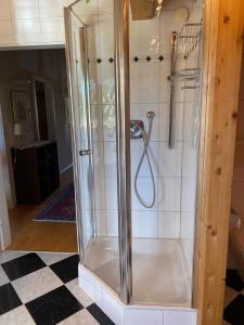 a shower with a glass door in a bathroom at Techendorf 101 in Weissensee