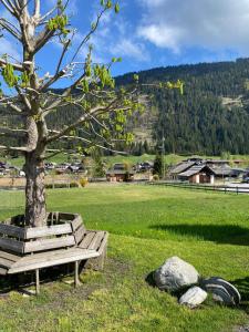 a park bench next to a tree in a field at Techendorf 101 in Weissensee +9 photos
