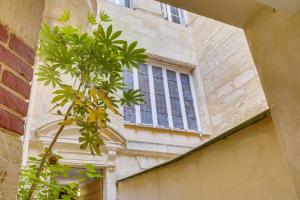 a tree in front of a building with a window at Spacious, quiet flat in the heart of Bordeaux in Bordeaux