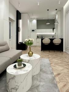 Kuchyň nebo kuchyňský kout v ubytování Szekely at Andrassy Suite -SZM4