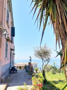 Příroda nedaleko apartmánu + 56 fotografií