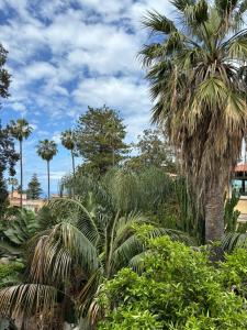 Zahrada ubytování BM Flowers