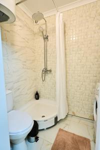 a bathroom with a tub and a toilet and a shower at Chisinau Airport Zone Studio Cozy & Connected in Chişinău +18 photos