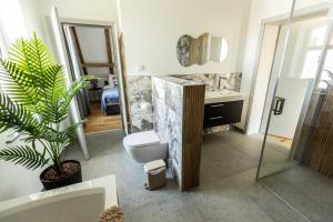 a bathroom with a toilet and a sink at Traumzeit Apartments in Dinkelsbühl +42 photos