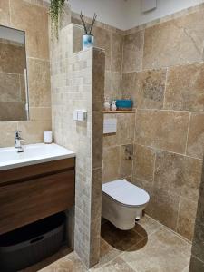 un bagno con un water e un lavandino di Antilo - appartement proche mer a Le Diamant
