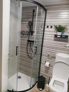 a bathroom with a shower with a toilet at Room No stress on Cres in Cres