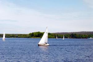 a group of small sailboats on a large lake at Ferienwohnung Mamat in Haltern