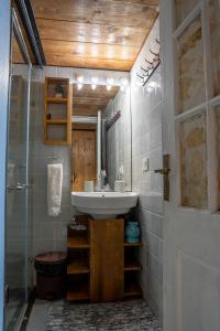 a bathroom with a sink and a shower at The Owls Nest Farm in Dharmsala +23 photos