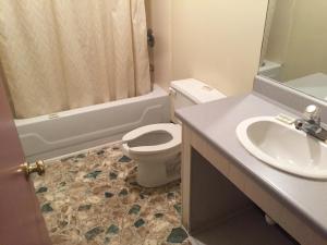 ein Bad mit einem WC, einem Waschbecken und einer Dusche in der Unterkunft Daniel Boone Motor Inn in Pikeville
