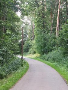 Naturlandskabet i nærheden af lejligheden