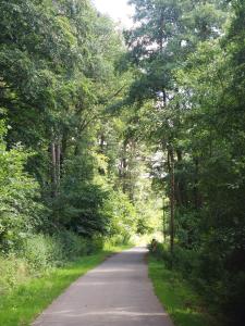 Naturlandskabet i nærheden af lejligheden + 4 billeder
