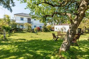 a yard with two chairs and a tree at Ferienwohnung Amselstraße in Marburg an der Lahn