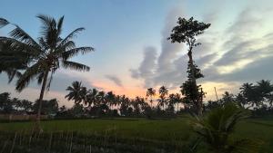 Zahrada ubytování Rice Field inn - Lombok