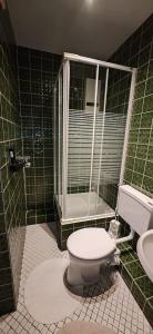 een groene betegelde badkamer met een toilet en een douche bij Vier Jahreszeiten Möwenblick in Großenbrode-Kai