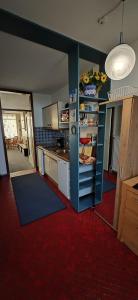 een keuken met een rode vloerbedekking en een keuken met een aanrecht bij Vier Jahreszeiten Möwenblick in Großenbrode-Kai +5 foto's