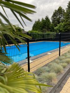 a black fence with a pool in the background at Boshuisjes Veluwe Lila met omheinde tuin in Putten