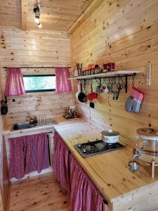 Kuchyň nebo kuchyňský kout v ubytování Hidden Valley Cabin