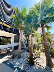 a group of palm trees in front of a building at Luminous luxury living in Kallithea Halkidikis