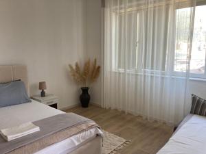 Gallery image of Plaža Stari Grad Budva pjena od mora Beach Apartman in Budva +66 photos