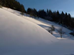 Holderstanzenhof v zimě