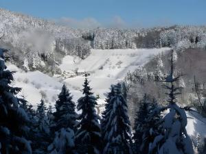 Holderstanzenhof v zimě