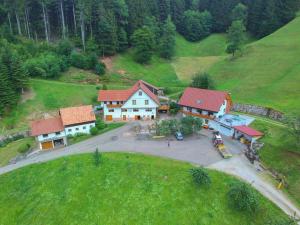 Příroda nedaleko apartmánu