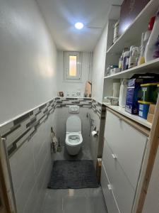 ein kleines Bad mit WC in einem Zimmer in der Unterkunft Centre ville in Le Mans