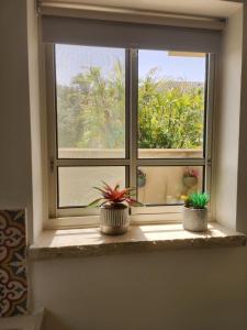 two potted plants sitting on a window sill at בוטיק גלילי gallile boutique in Kfar Blum